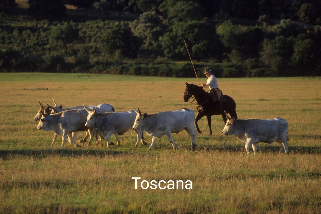 Appartamento La Libellula Grosseto Bagian luar foto